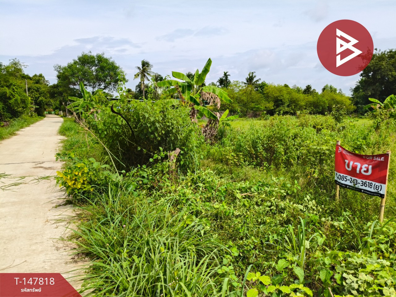 Land for sale, area 7 rai, Prasat, Surin. – รูปที่ 4