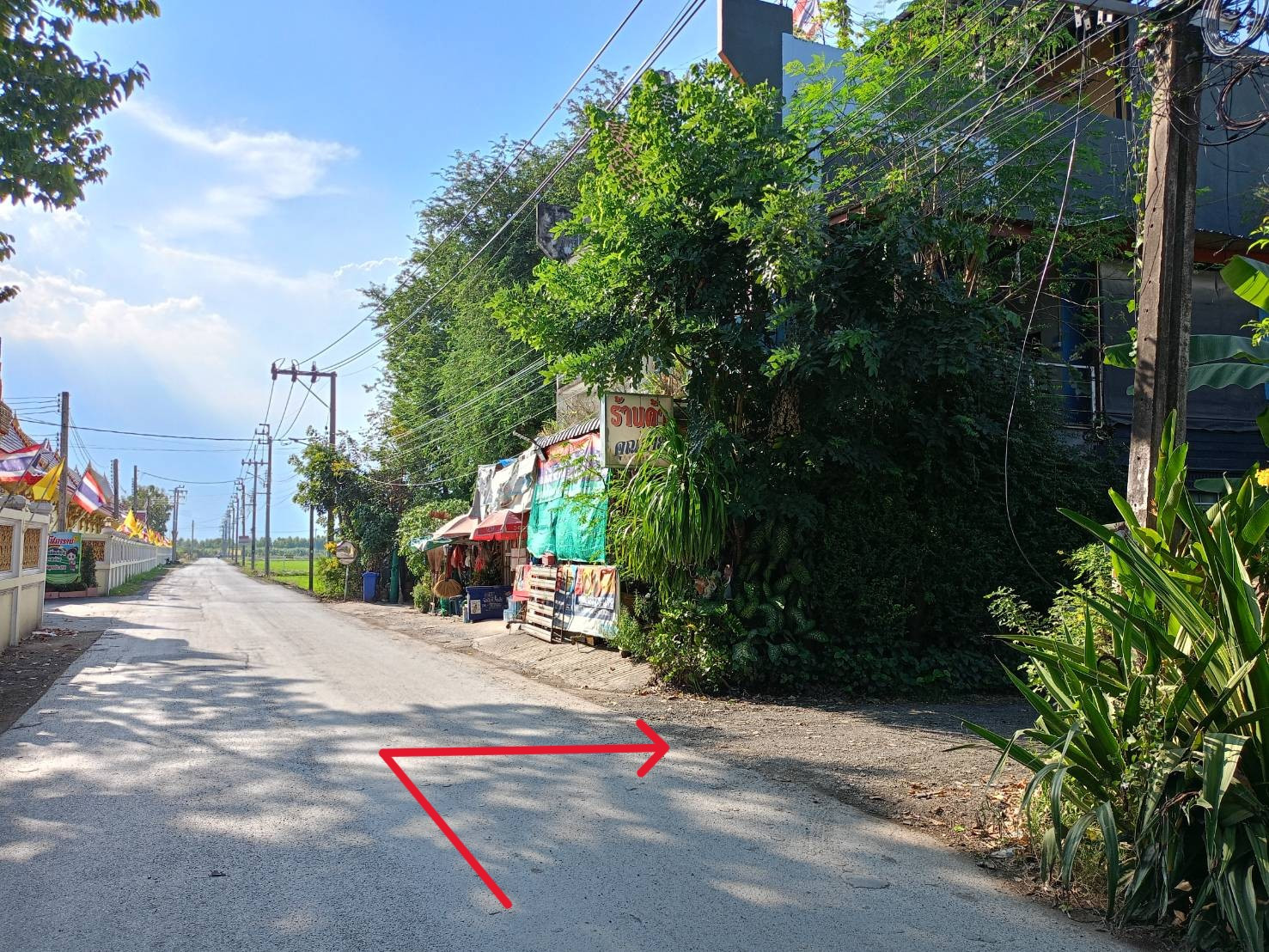 ขาย ที่ดิน 100 ตร.วา ซอยวัดแป้นทอง (หทัยราษฎร์39)ราคาถูกที่สุดในย่านนี้! หน้ากว้าง 14.5 เมตร, ลึก 27.5 เมตร – รูปที่ 3
