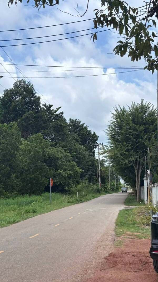 Beautiful plot of land for sale With economic trees, potential location, Phanom Sarakham District Chachoengsao Province – รูปที่ 4