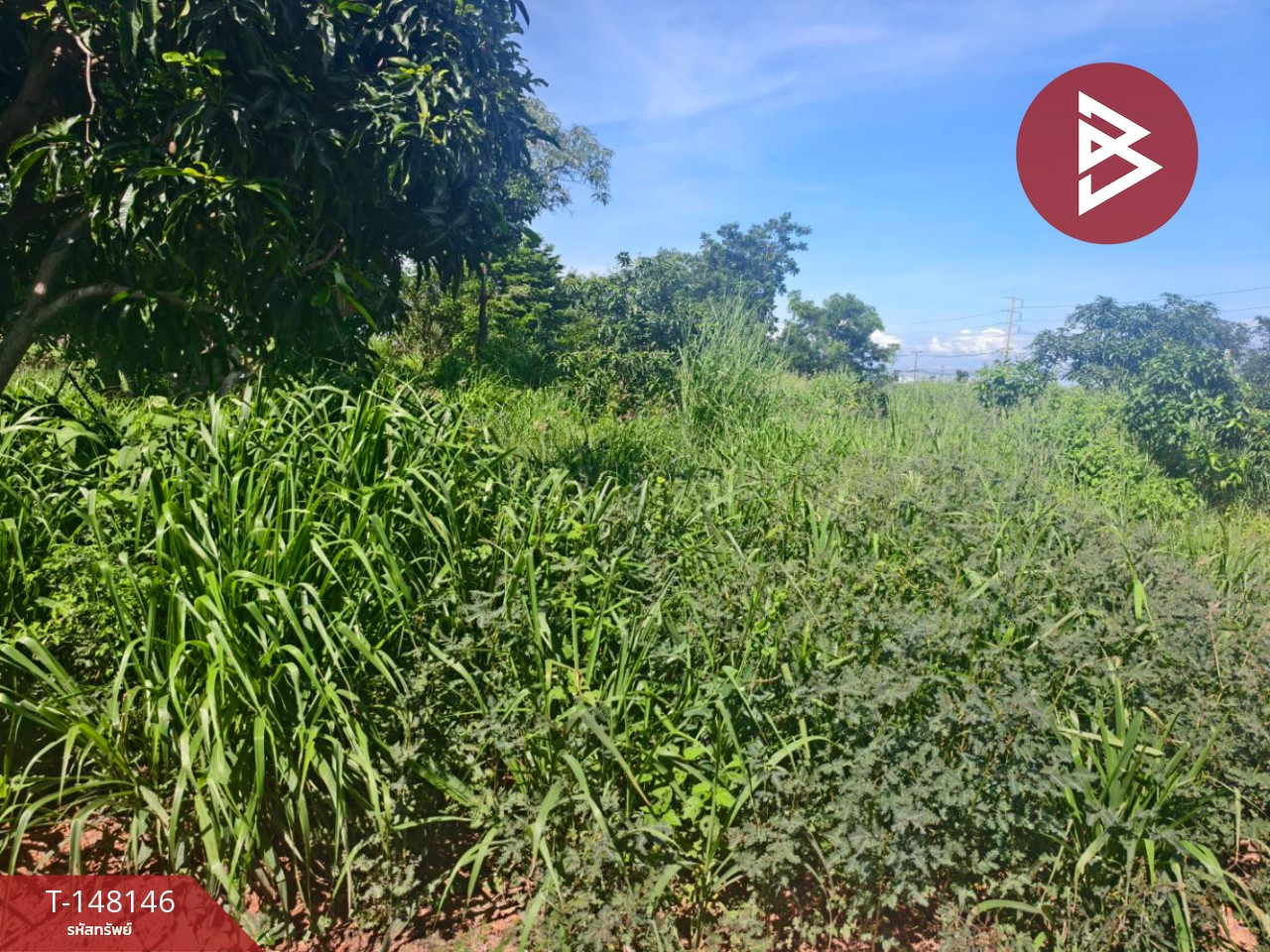 Land for sale, area 67 sq m, Bang Kla, Chachoengsao. – รูปที่ 4