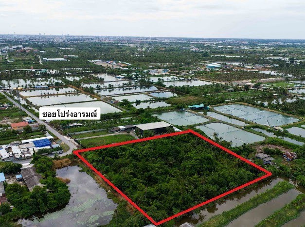 ที่ดินแปลงใหญ่จากถนนกาญจนา 4 นาที!!! ขายที่ดินเปล่าใน ซอยโปร่งอารมณ์ พระราม2 เหมาะสร้าง โรงงานพร้อมอยู่อาศัยในตัว พื้นที่ 6 ไร่ 81 ตรว ( 2,481 ตรว.)  ราคาพิเศษ!! – รูปที่ 3