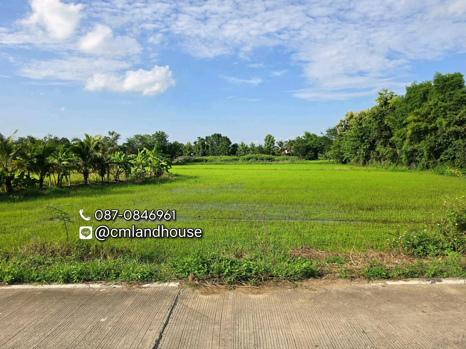 ที่ดินผังสีชมพู โฉนด 3 ไร่กว่า บ้านน้อย ต.สันกำแพง อ.สันกำแพง ใกล้ถนนสันแพงสายใหม่ 1.3 กม. ใกล้ตัวเมือง 10 กม. ท่ามกลางหมู่บ้านจัดสรรขนาดใหญ่มากมาย – รูปที่ 3
