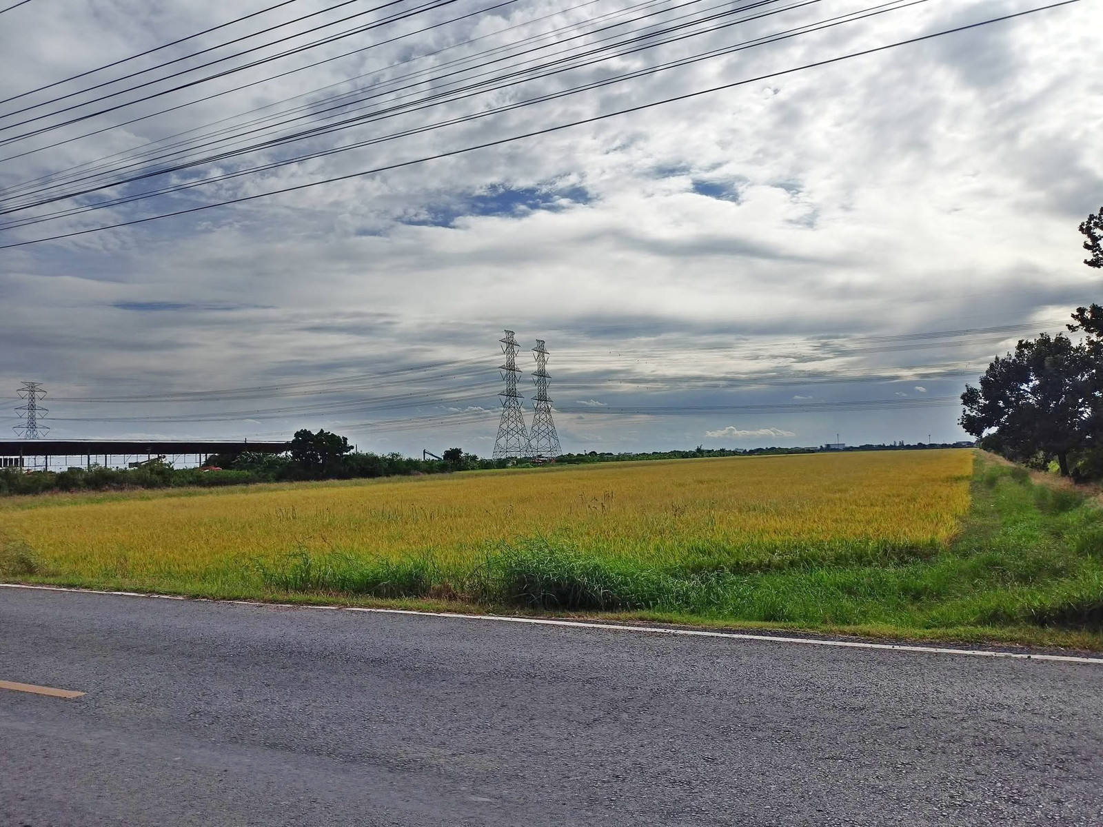 #Land in a very beautiful location, next to the main road behind Wat Don Yai, Lam Luk Ka. Land in a good location behind Wat Don Yai, Lam Luk Ka, Khlong 8, Pathum Thani T.062-1574449 – รูปที่ 2