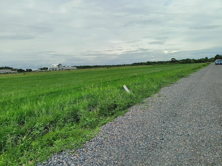 #Land, good location, near CJ_Seven Khlong 5, Khlong Luang, has a plot to pay installments, Land Khlong 5, Khlong Luang, Pathum Thani - T.062-1574449 – รูปที่ 2