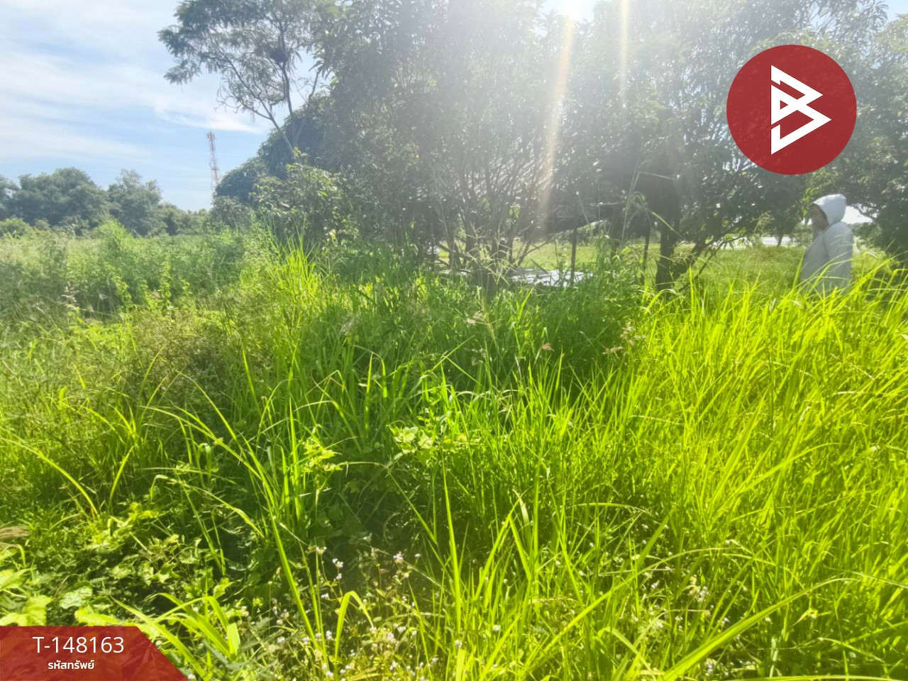Land for sale, area 67 sq m, Bang Kla, Chachoengsao. – รูปที่ 4