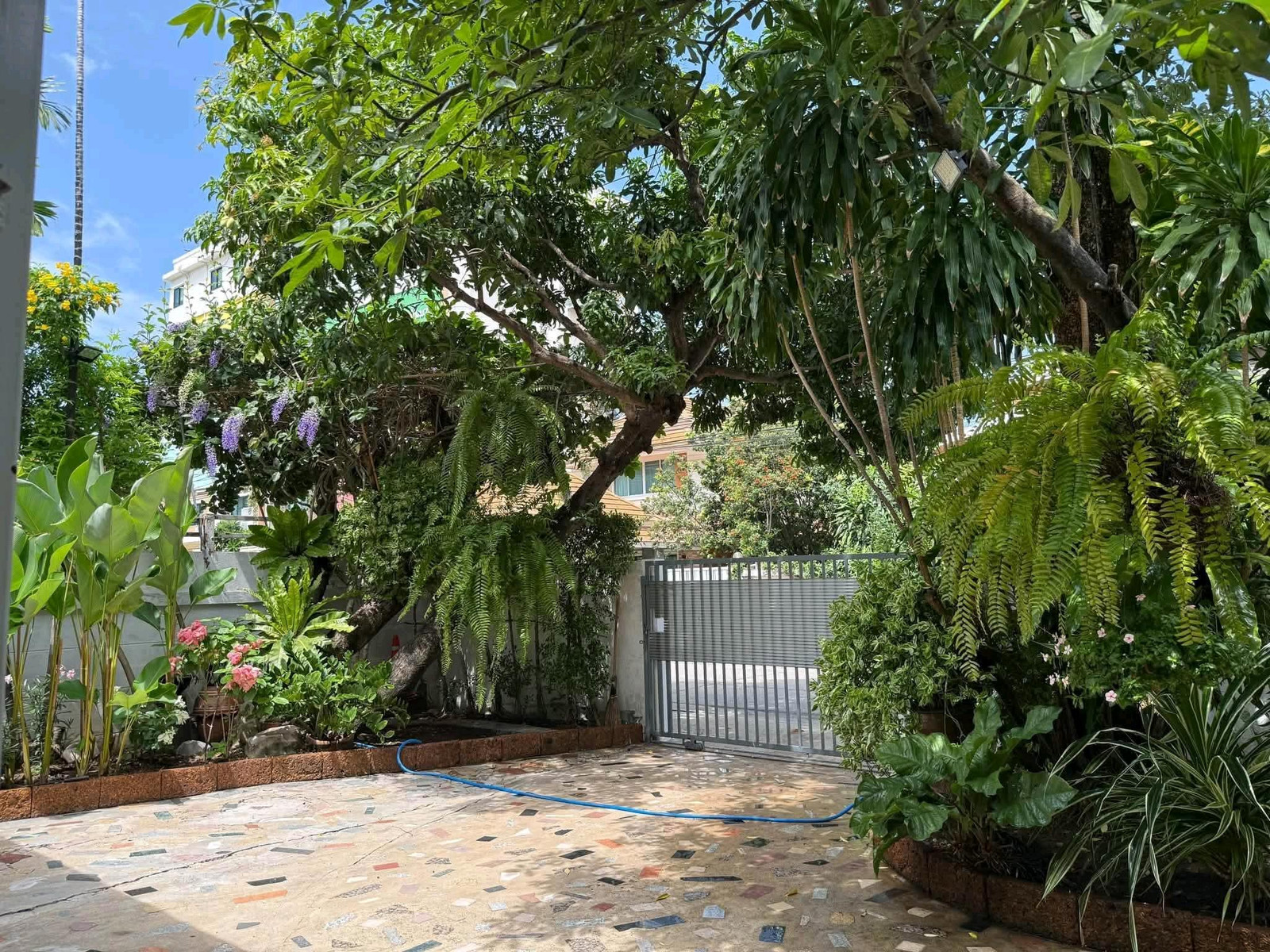 ✨ House in good location, shady atmosphere, wide area, behind The Nine Rama 9 Soi 41. ✨ House in good location, shady atmosphere, wide area, behind The Nine Rama 9 Soi 41.