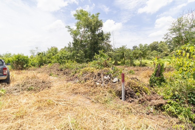 ขายที่ดินเปล่าถมแล้ว 60 ตร.วา รังสิต-นครนายก คลอง 11 ติดถนนคอนกรีต แปลงสวยพร้อมปลูกบ้าน  – รูปที่ 4