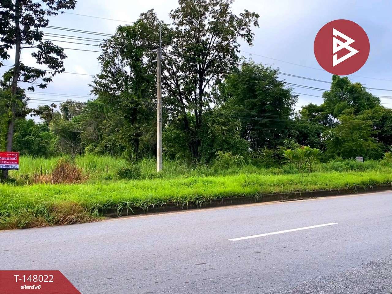 ขายที่ดินติดถนน เนื้อที่ 28 ไร่ 95 ตร.วา นาจารย์ กาฬสินธุ์ – รูปที่ 4
