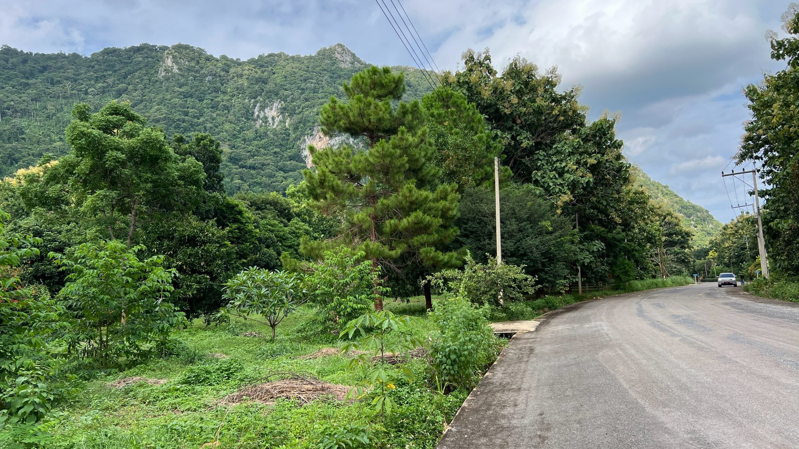 ขายที่ดินวิวภูเขา เขาใหญ่–พญาเย็น ในโครงการเขาลอย รีสอร์ท | แบ่งขายได้ | เริ่มต้น 2.9 ล้านบาท – รูปที่ 4