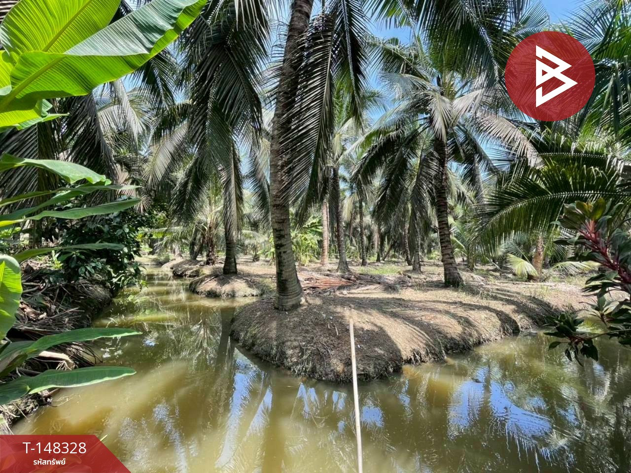 Coconut plantation land for sale, area 33 rai 1 ngan 20 sq m, Nakhon Chai Si, Nakhon Pathom. – รูปที่ 2