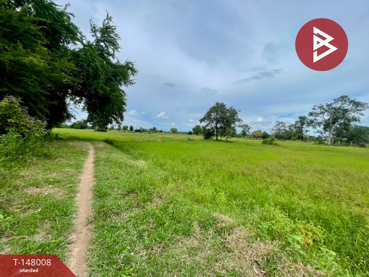 ขายที่ดิน เนื้อที่ 3 ไร่ 14.7 ตร.วา อ.บ้านไผ่ จ.ขอนแก่น บรรยากาศบ้านสวน ติดคลองน้ำสาธารณะ – รูปที่ 2