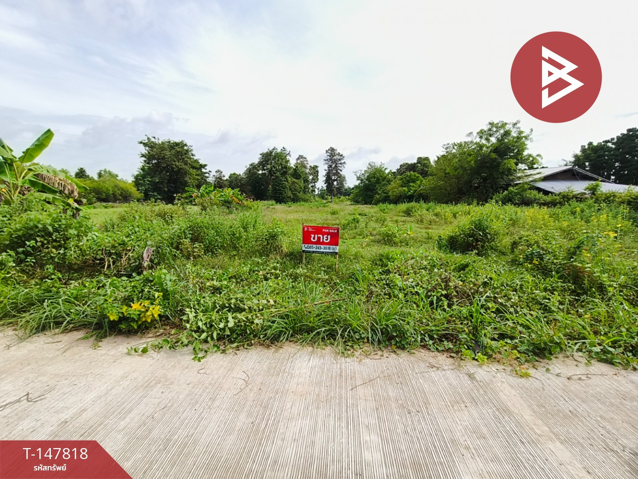 Land for sale, area 7 rai, Prasat, Surin. – รูปที่ 2