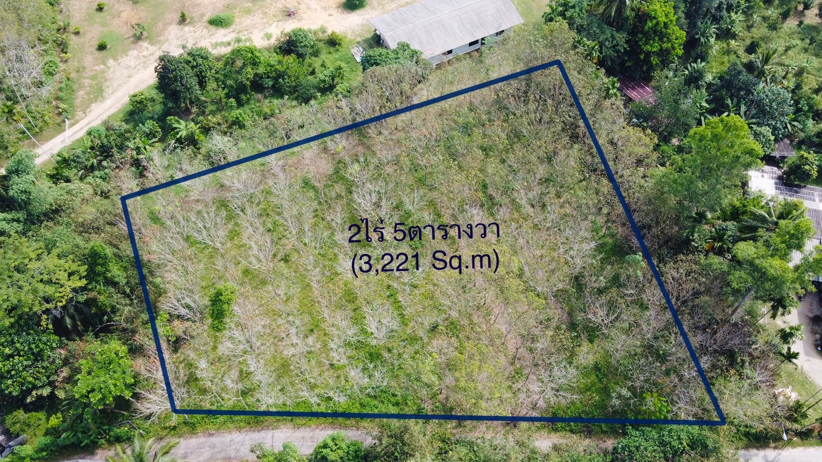 Land for Sale – Bang Muang, Takua Pa, Phang Nga – รูปที่ 2
