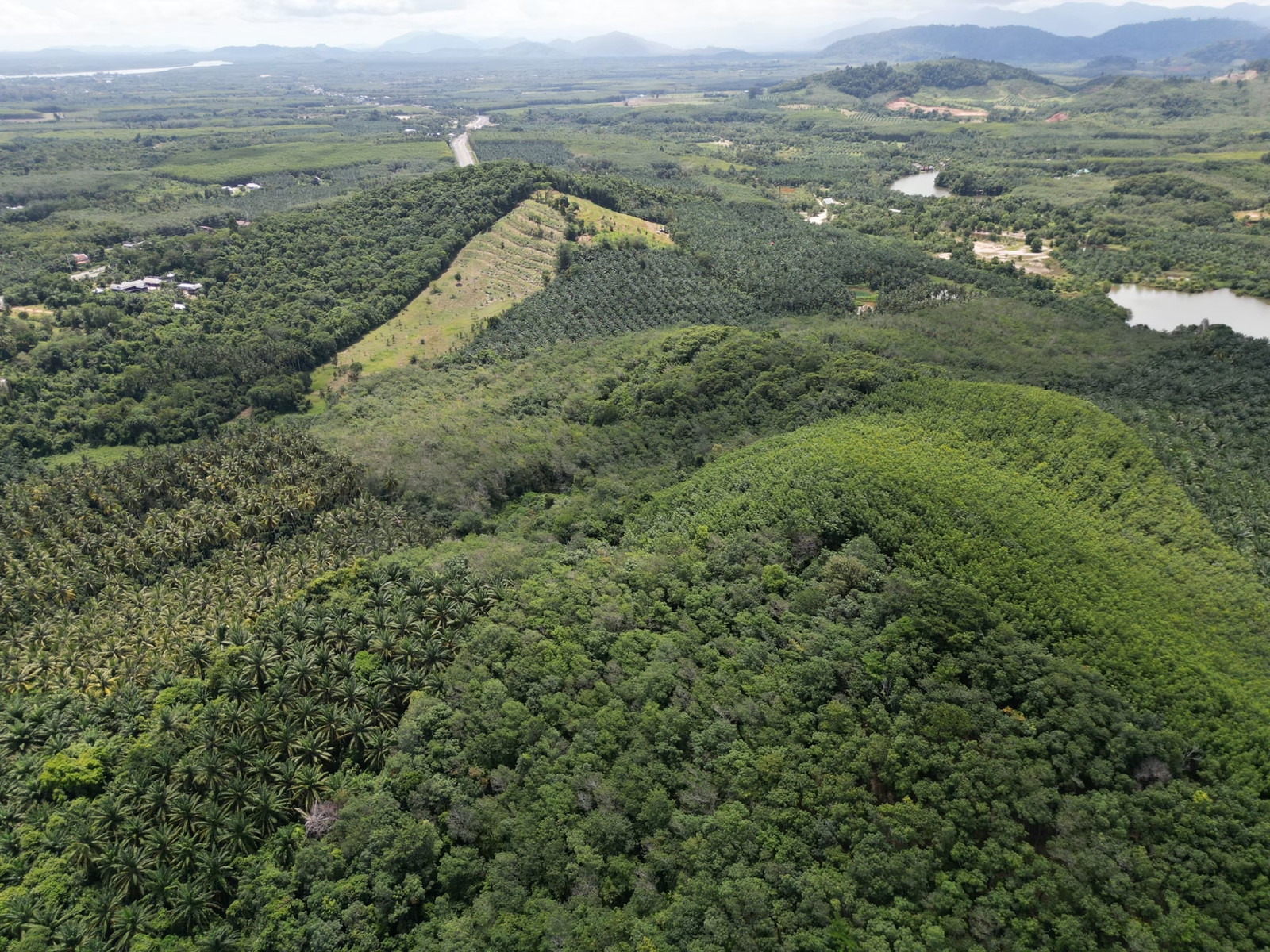 51-Rai Mountain Land with Sea Views for Sale | Near Bang Sak Beach, Takua Pa, Phang Nga – รูปที่ 2