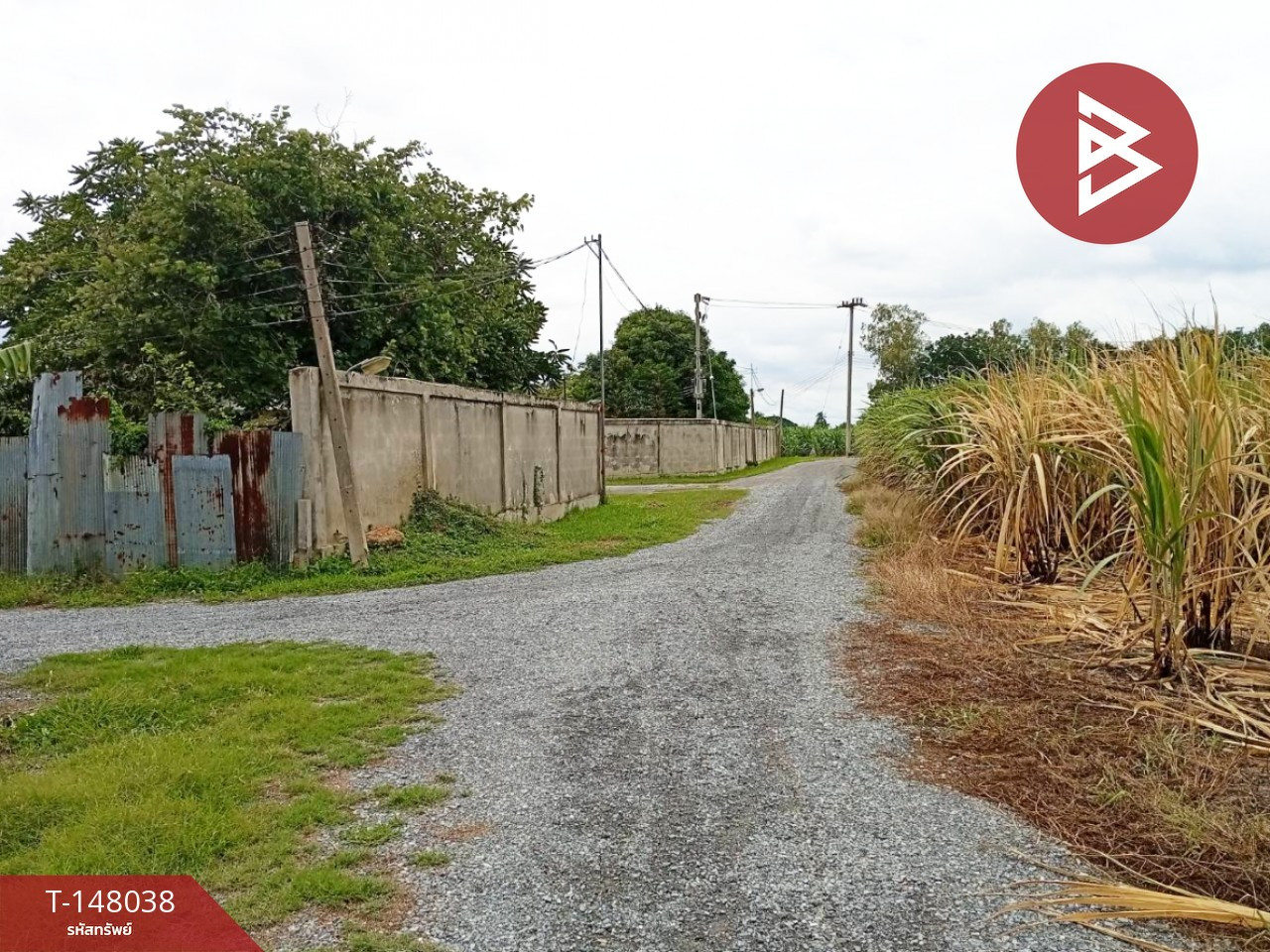 Land for sale, area 3 rai 2 sq m, Nong Ngu Lueam, Nakhon Pathom. – รูปที่ 4
