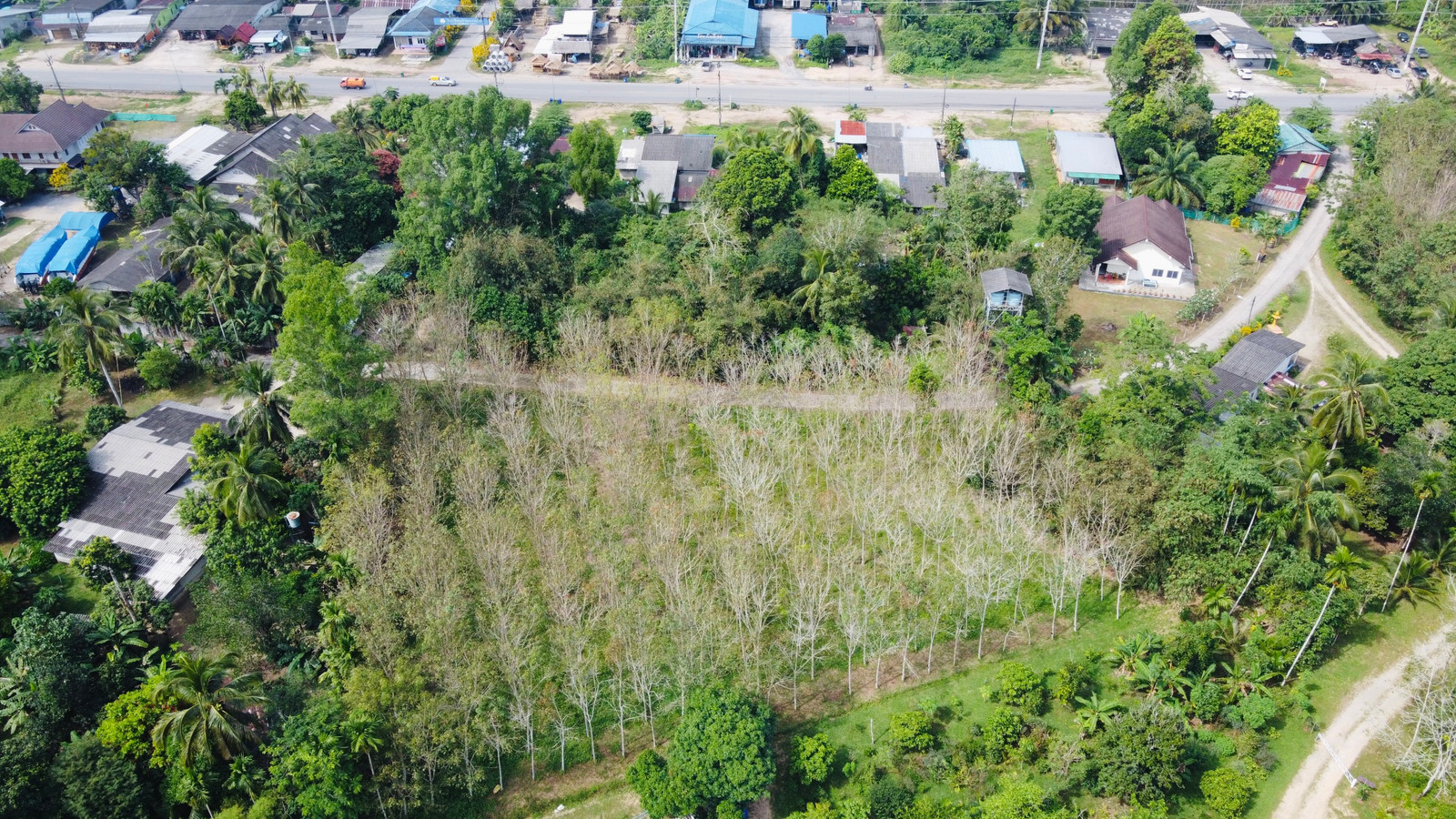 Land for Sale – Bang Muang, Takua Pa, Phang Nga
