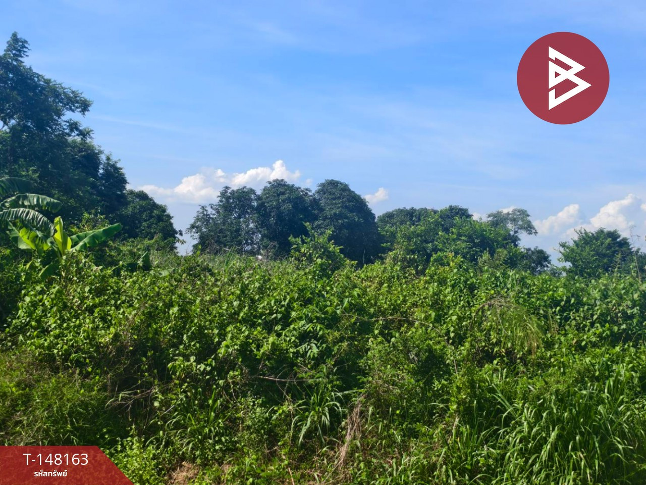 Land for sale, area 67 sq m, Bang Kla, Chachoengsao. – รูปที่ 3