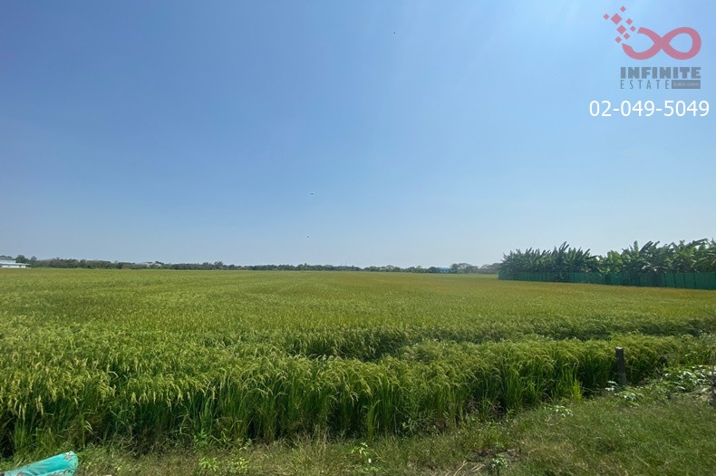 Land for sale 29 rai 65 sq m, Nimitmai - Pracha Ruamjai Road, Soi Wat Sukjai 14, Khlong Sam Wa, next to the road on 2 sides. – รูปที่ 3