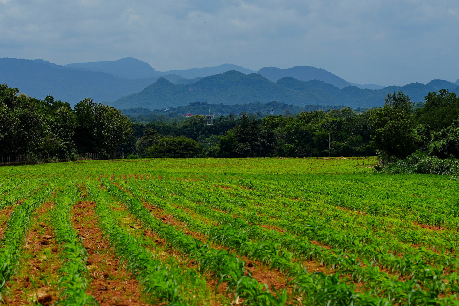 17.5 rai Land Khao Yai with panoramic mountain views. Beautiful rectangular plot, 107 meters of road frontage, slightly sloping but with stunning views of the surrounding mountain range. 7 k.m. from Toscana 