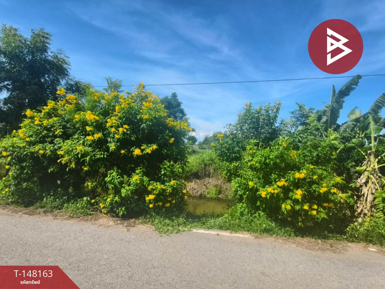Land for sale, area 67 sq m, Bang Kla, Chachoengsao. – รูปที่ 2