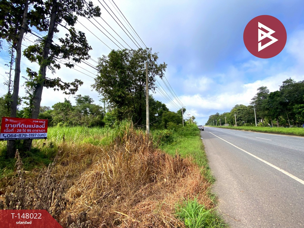 ขายที่ดินติดถนน เนื้อที่ 28 ไร่ 95 ตร.วา นาจารย์ กาฬสินธุ์ – รูปที่ 3