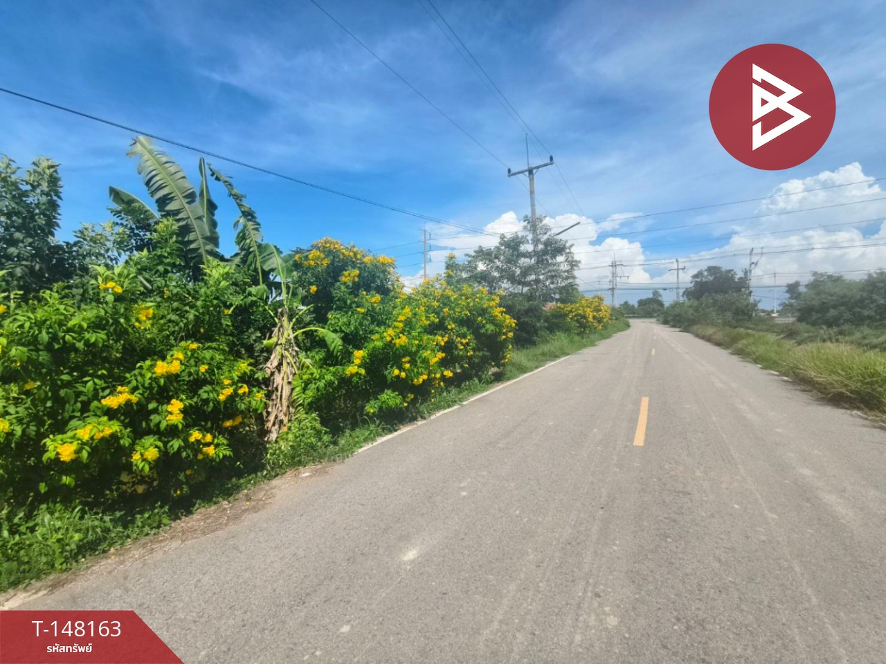 ขายที่ดิน เนื้อที่ 67 ตร.วา บางคล้า ฉะเชิงเทรา ขายที่ดิน เนื้อที่ 67 ตร.วา บางคล้า ฉะเชิงเทรา