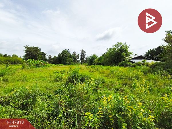 Land for sale, area 7 rai, Prasat, Surin.