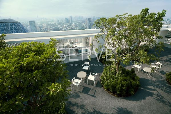  Commercial Space Large Room City View Luxury  Good Lacation Close To BTS Ari station 220 m. @ Noble Around Ari  