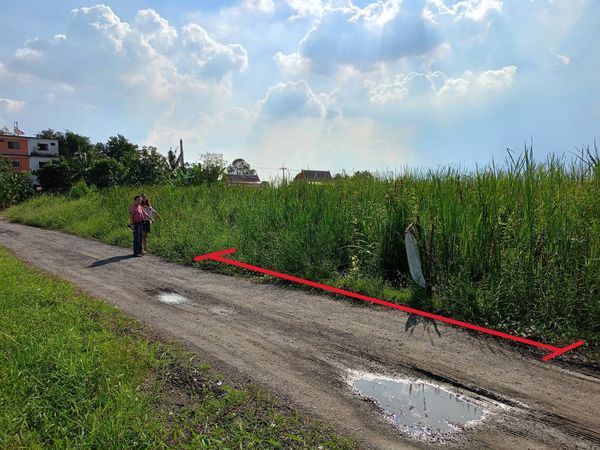 FOR SALE: 100 Sq. Wah Land Plot – Soi Wat Paen Thong (Hathairat 39) | Best Price in the Area! Dimensions: Width 14.5 meters x Depth 27.5 meters