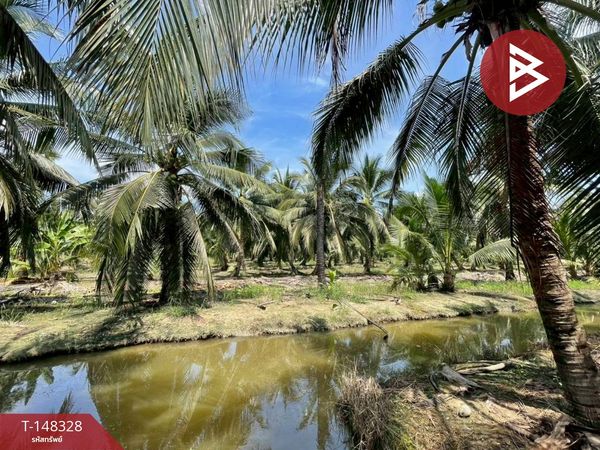 Coconut plantation land for sale, area 33 rai 1 ngan 20 sq m, Nakhon Chai Si, Nakhon Pathom.