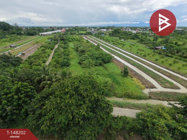 Longan orchard land for sale, area 5 rai 2 ngan 80 square wah, Mueang Nga, Lamphun.