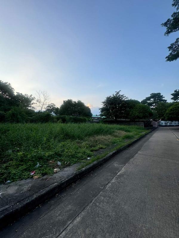 ที่ดิน ปัญญา พัฒนาการ / 297 ตร.วา (ขาย), Land Panya Village Pattanakarn / 297 Square Wa (FOR SALE) FAS054