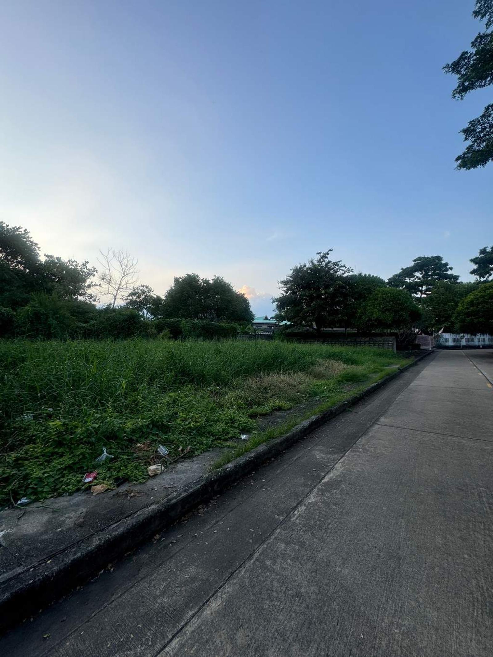ที่ดิน ปัญญา พัฒนาการ / 297 ตร.วา (ขาย), Land Panya Village Pattanakarn / 297 Square Wa (FOR SALE) FAS054 ที่ดิน ปัญญา พัฒนาการ / 297 ตร.วา (ขาย), Land Panya Village Pattanakarn / 297 Square Wa (FOR SALE) FAS054