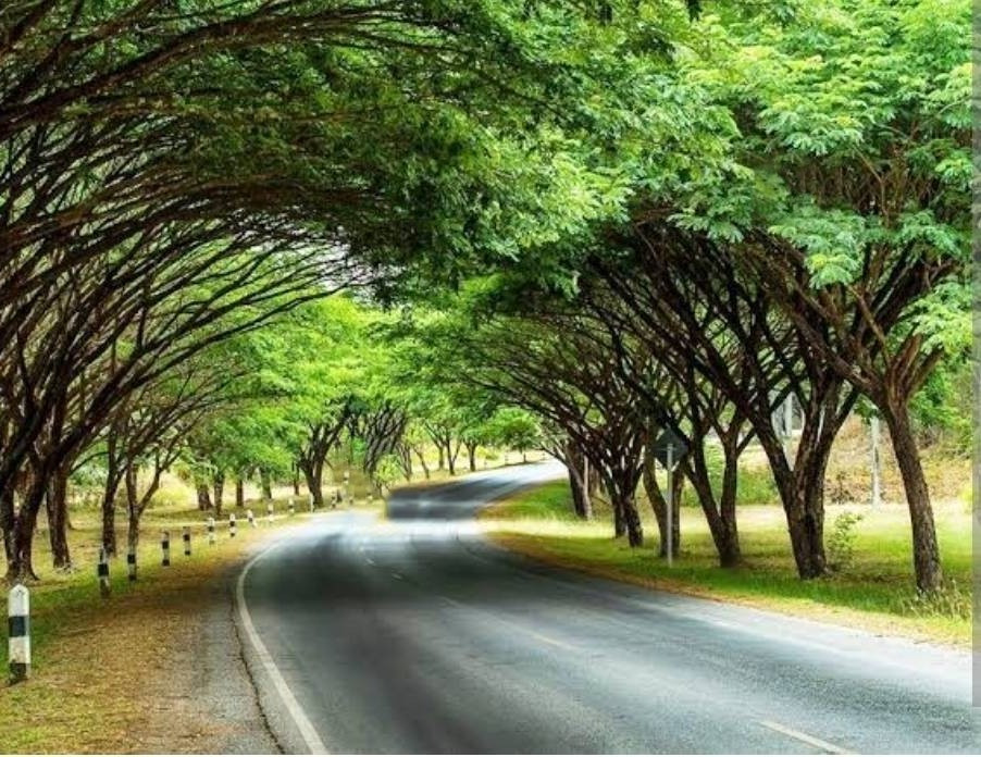 Close to Nature!! 2-Story Townhouse for Sale near Mabprachan Reservoir, Pattaya — Tree Tunnel Road, Pong, Bang Lamung, Chonburi