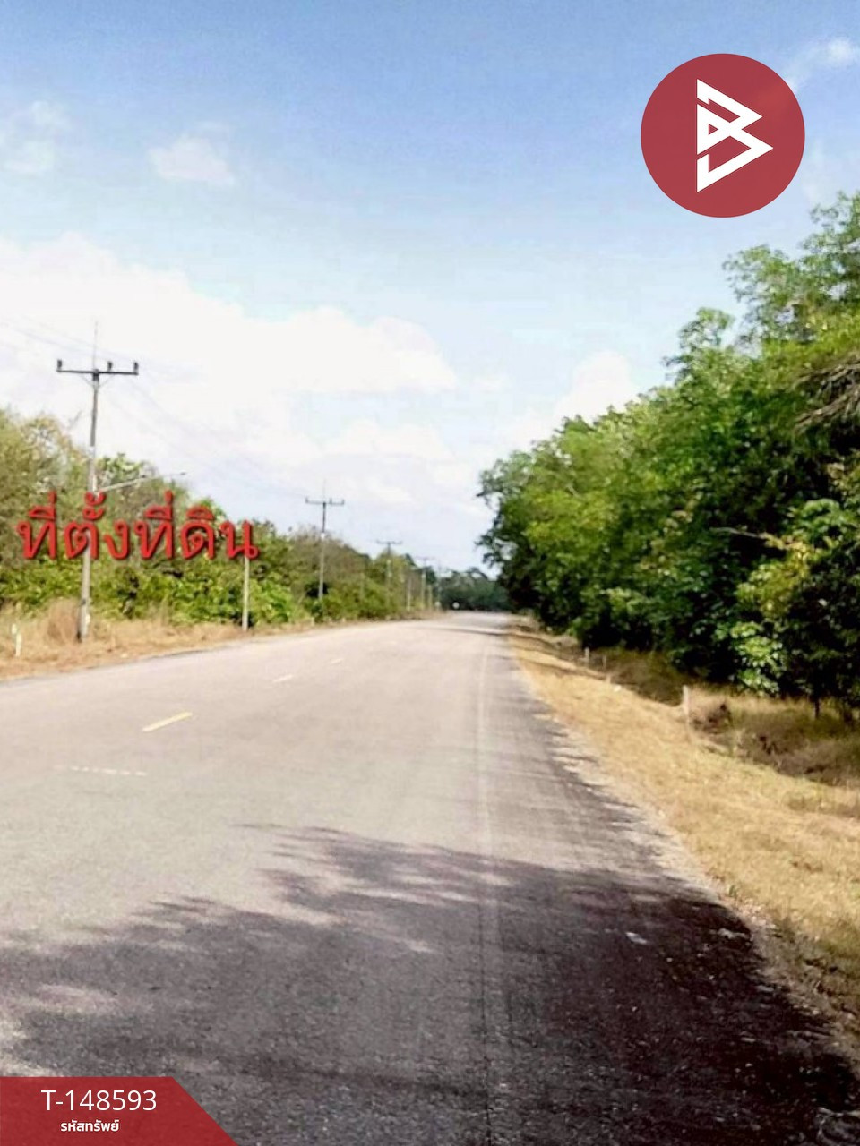 Beautiful plot of land for sale, area 4 rai 3 ngan 92.5 square wa, Takua Pa District, Phang Nga Province, good location, next to the main road.