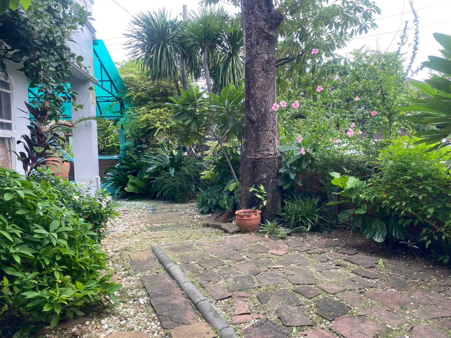ID 1606 House for rent บ้านให้เช่า พร้อมเฟอร์ – รูปที่ 3