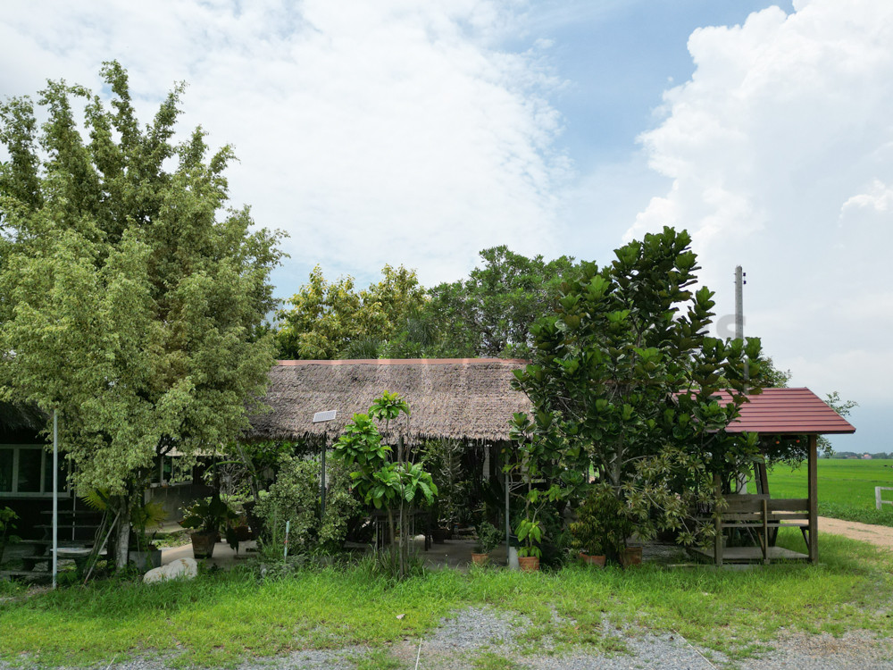 Land for sale, Lam Luk Ka, Khlong 16, Ongkharak. – รูปที่ 2