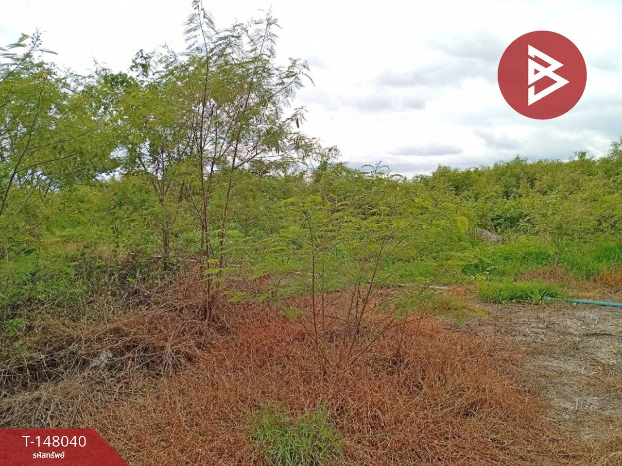 Land for sale, area 3 rai, Nong Ngu Lueam, Nakhon Pathom. – รูปที่ 3