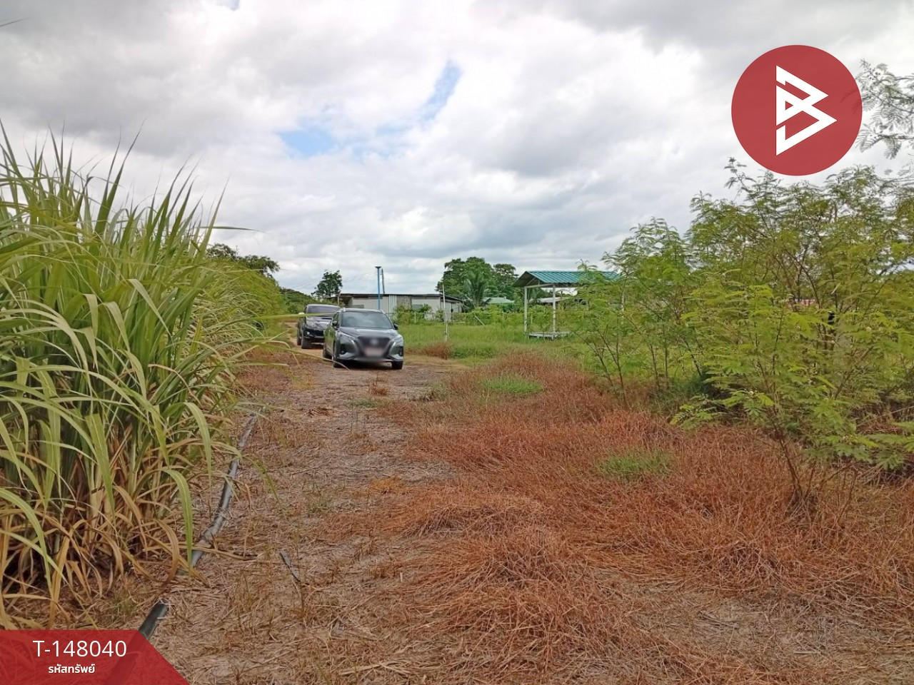 Land for sale, area 3 rai, Nong Ngu Lueam, Nakhon Pathom. – รูปที่ 4
