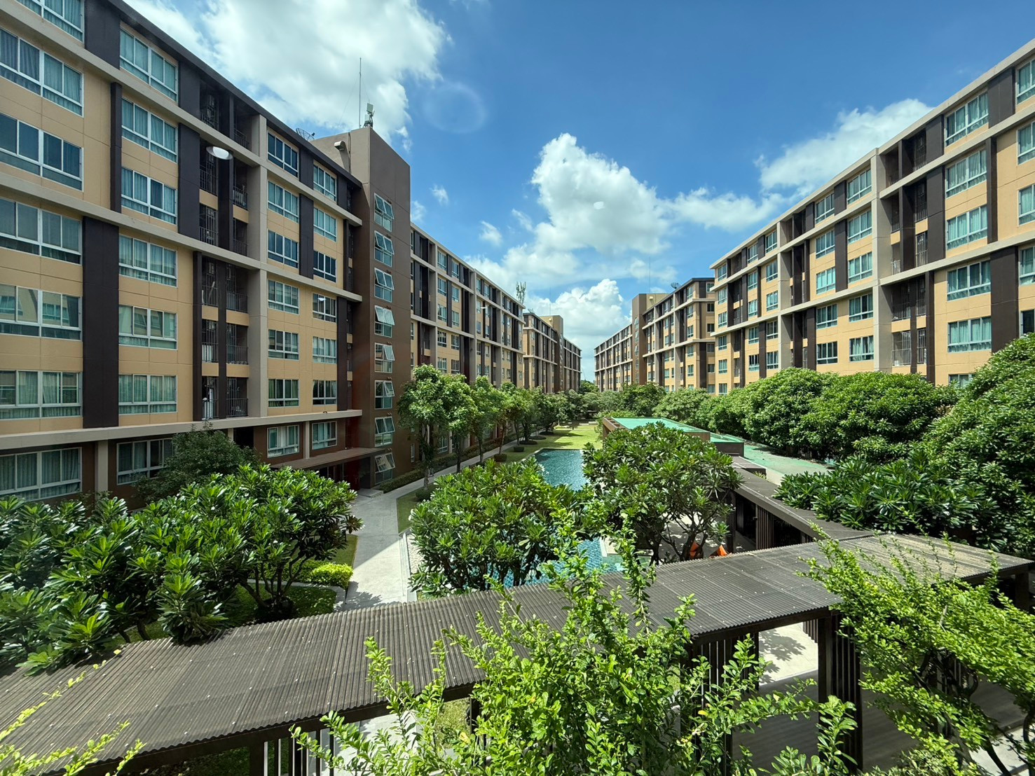 🛋️ dcondo Campus Resort Rangsit (dcondo Campus Resort Rangsit) Phase 1 7,500 / month, 2 year contract, 3rd floor, Building D, contact Line @802dkhwu, quick response, can make an appointment to see the room. 🛋️ dcondo Campus Resort Rangsit (dcondo Campus Resort Rangsit) Phase 1 7,500 / month, 2 year contract, 3rd floor, Building D, contact Line @802dkhwu, quick response, can make an appointment to see the room.
