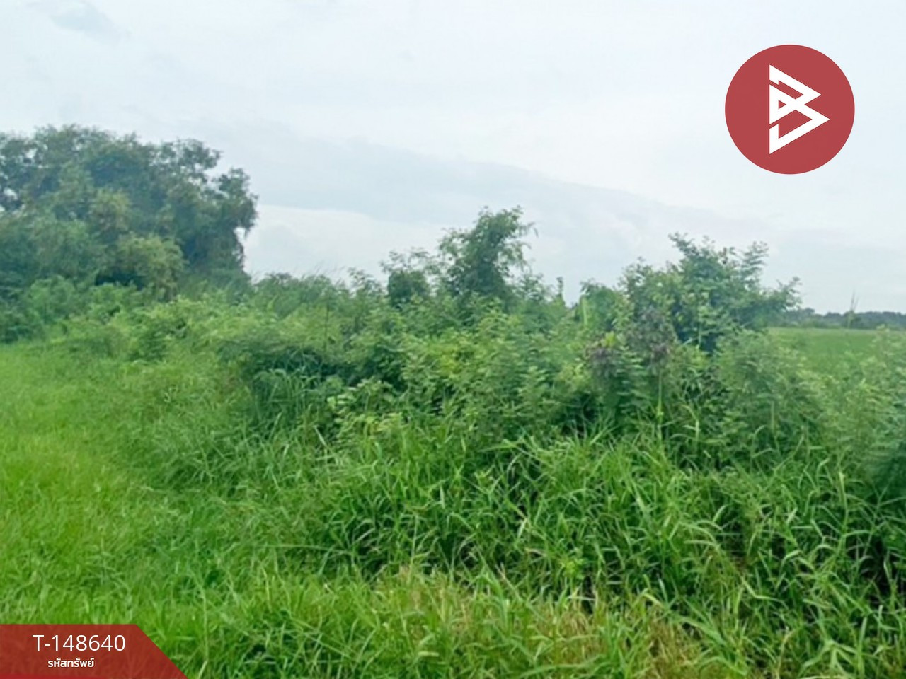 ขายที่ดิน เนื้อที่ 21 ไร่ 27 ตร.วา มีนบุรี กรุงเทพมหานคร – รูปที่ 2