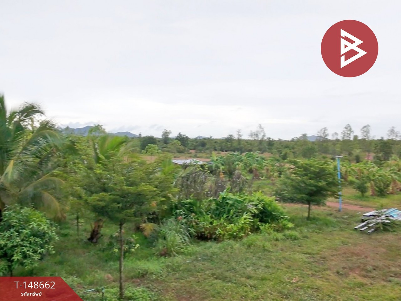 ขายที่ดิน เนื้อที่ 38 ไร่ 99.3 ตร.วา แก่งกระจาน เพชรบุรี – รูปที่ 3