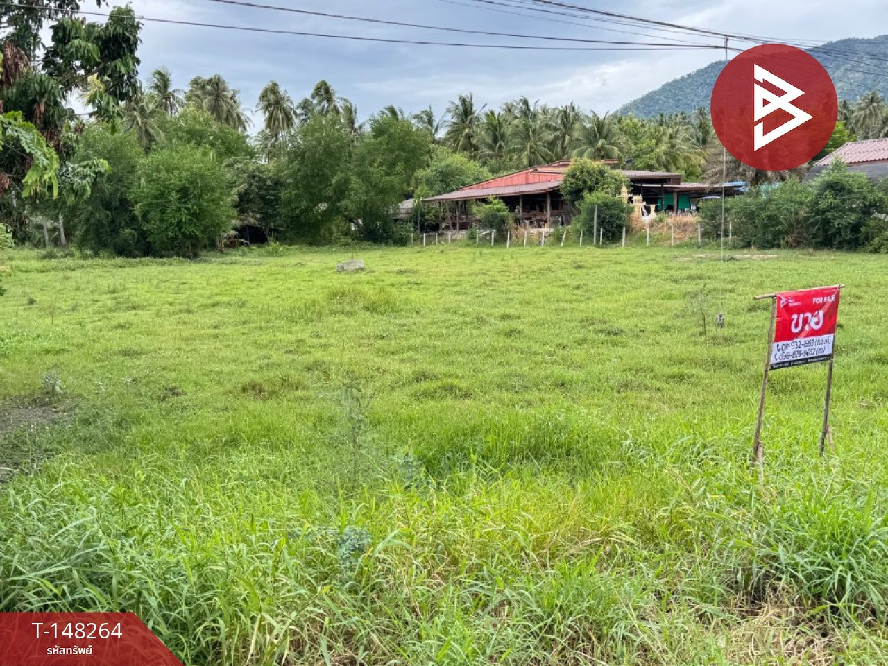 ขายที่ดิน เนื้อที่ 2 ไร่ ทับสะแก ประจวบคีรีขันธ์ – รูปที่ 4