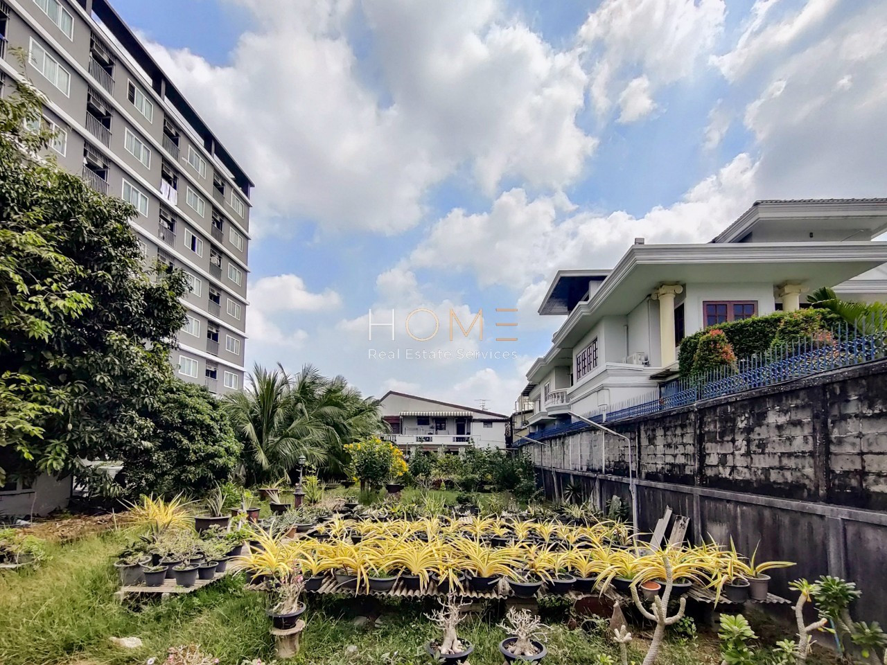 ที่ดิน สุขุมวิท 77 ซอยอ่อนนุช 14 (ขาย), Land plot in Sukhumvit 77 Soi Onnut 14 (FOR SALE) PALM670 ที่ดิน สุขุมวิท 77 ซอยอ่อนนุช 14 (ขาย), Land plot in Sukhumvit 77 Soi Onnut 14 (FOR SALE) PALM670