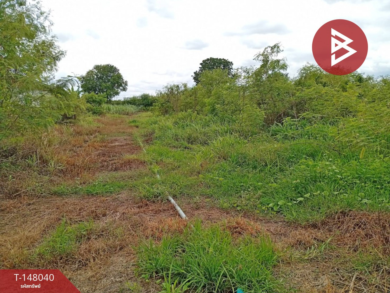 Land for sale, area 3 rai, Nong Ngu Lueam, Nakhon Pathom. Land for sale, area 3 rai, Nong Ngu Lueam, Nakhon Pathom.