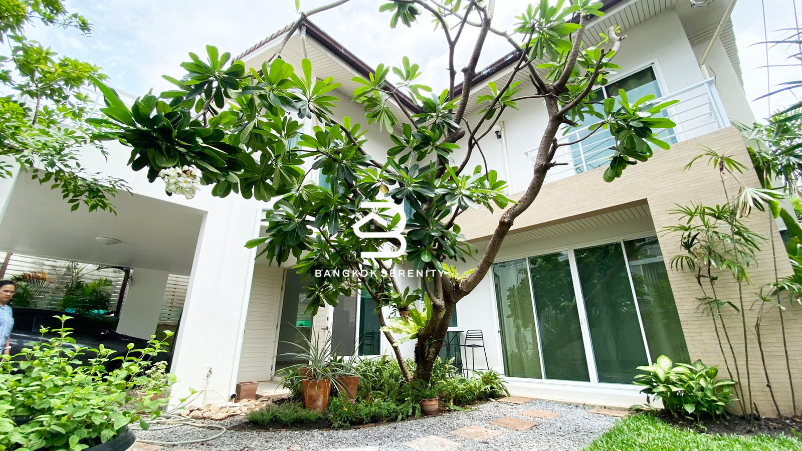Pet friendly house for rent at Sukhumvit Prompong Pet friendly house for rent at Sukhumvit Prompong
