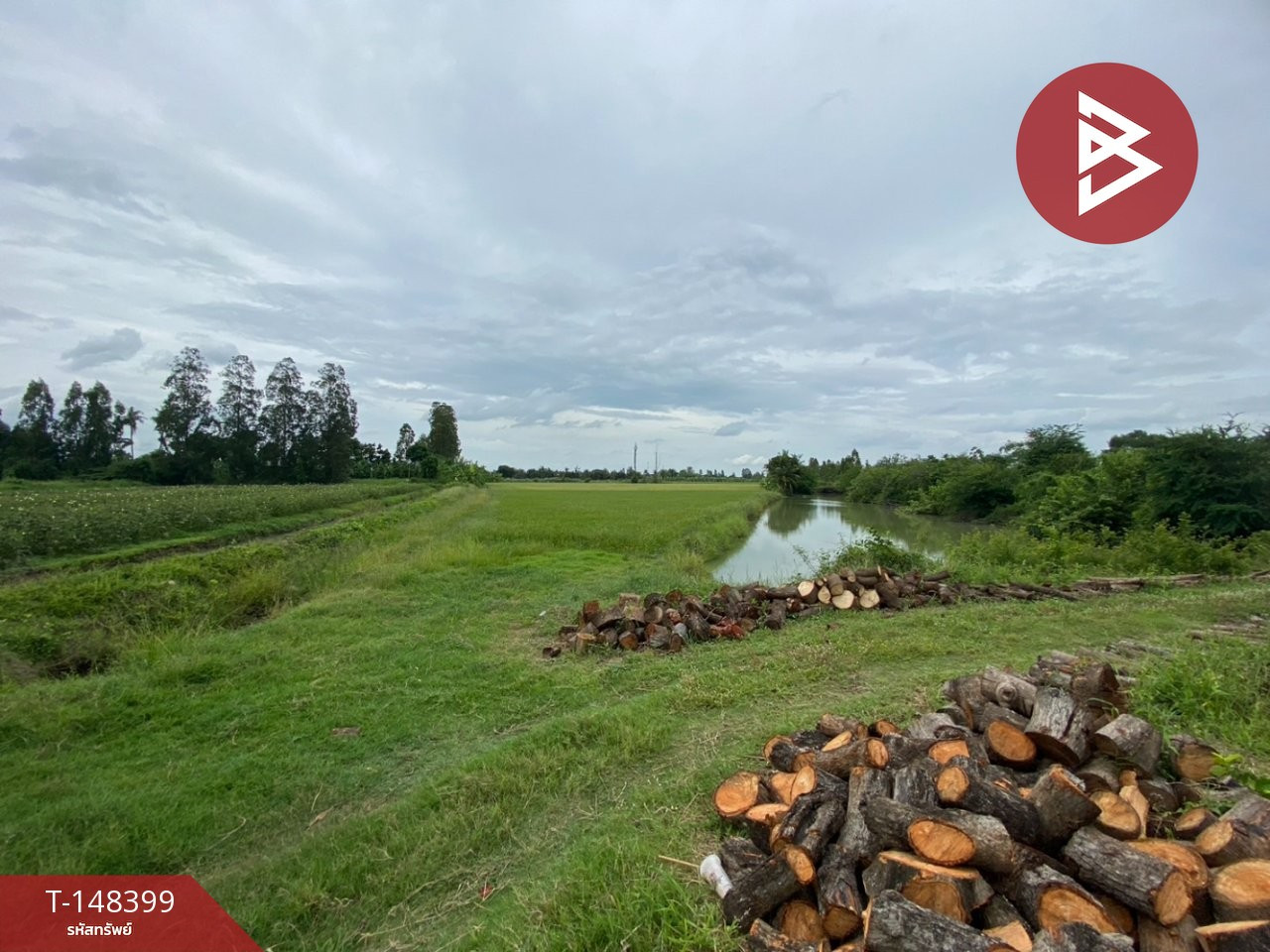 Land for sale, area 1 rai 1 ngan 66.3 square wah, Song Phi Nong, Suphan Buri – รูปที่ 2