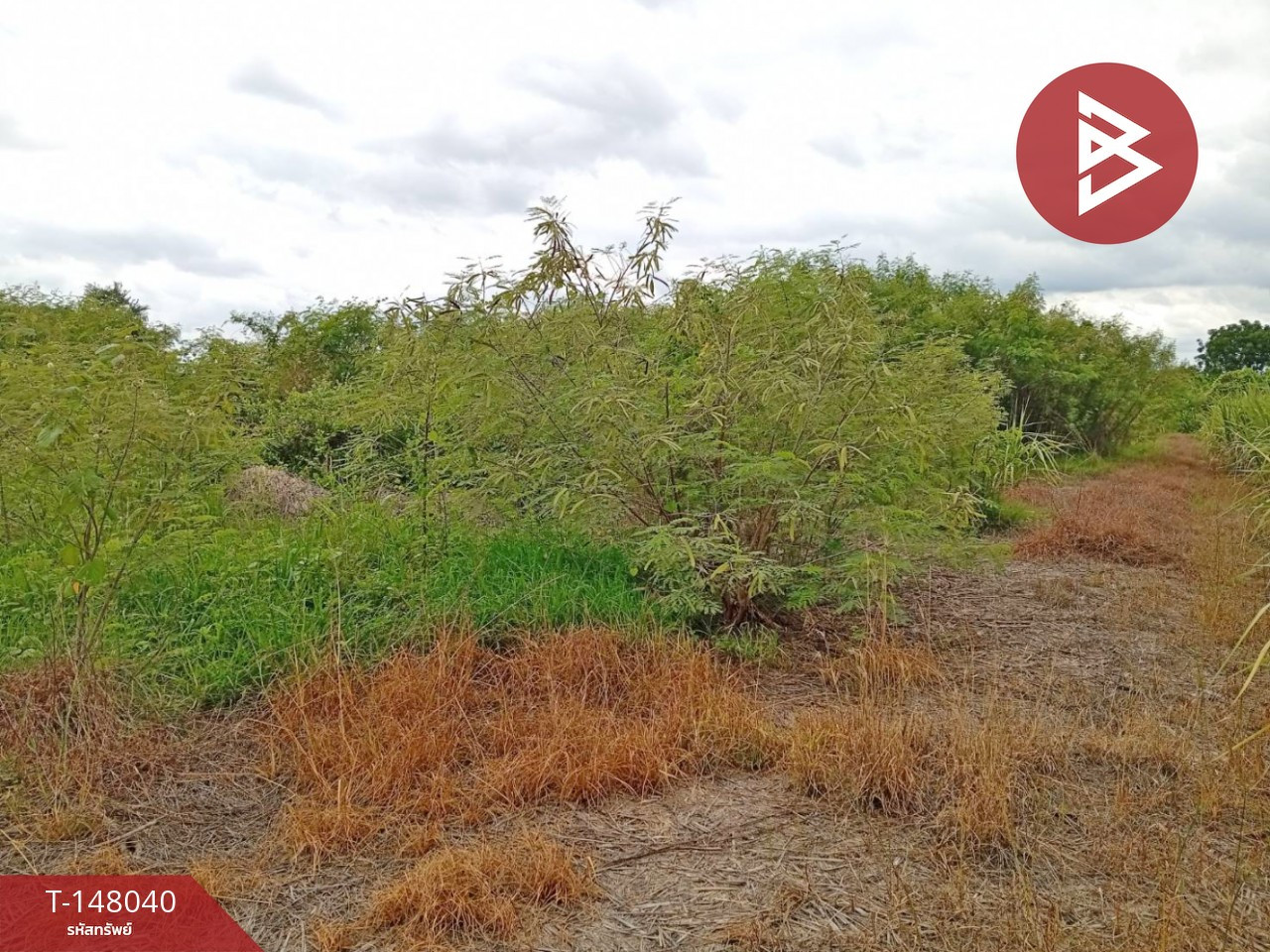 Land for sale, area 3 rai, Nong Ngu Lueam, Nakhon Pathom. – รูปที่ 2