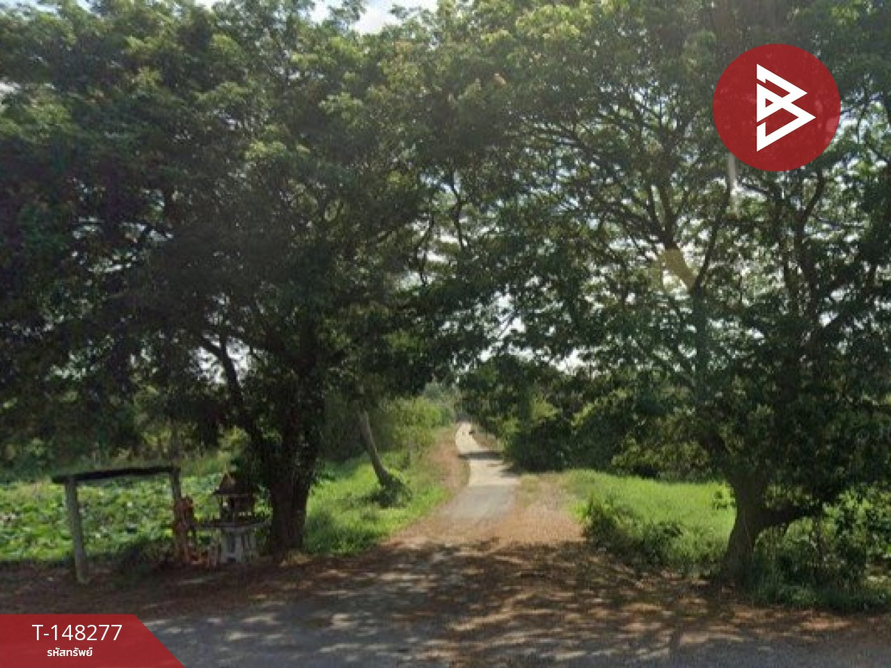  ขายที่ดิน เนื้อที่ 13 ไร่ 3 งาน 71 ตร.วา ไชโย อ่างทอง – รูปที่ 4