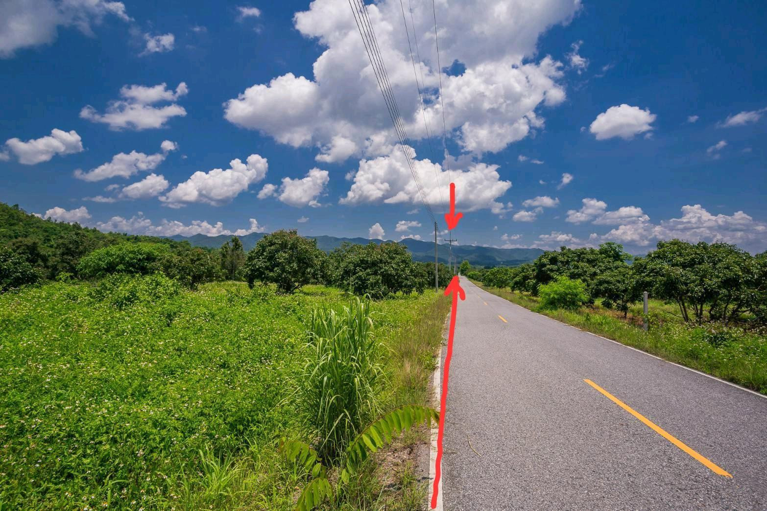 Longan orchard land for sale in Pa Phai Subdistrict, Li District, Lamphun Province. Price: only 690 THB/sq.wa. 🌳🏔️ – รูปที่ 4